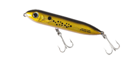 heddon Super Spook xt